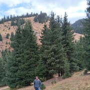 ���������� ������, ���� ������� ������, 41 ���, ������������ ��� ����� � ���������, c�������� ���������