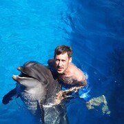 ���������� ������, ���� ������� ������, 38 ���, ������������ ��� ������, ����� � ���������, c�������� ���������, ���������