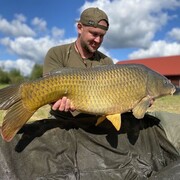 ���������� ������, ���� ������� ����, 38 ���, ������������ ��� ������, ����� � ���������