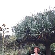 ���������� �����-���������, ���� ������� �����, 54 ����, ������������ ��� ����� � ���������, c�������� ���������