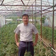 ���������� �������, ���� ������� Mura, 41 ���, ������������ ��� ������, ����� � ���������, c�������� ���������