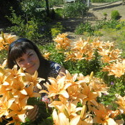  ,   , 44 ,     , c 