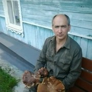  ,   , 51 ,     , c 