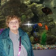 ���������� ���������, ���� ������� �������, 71 ���, ������������ ��� c�������� ���������