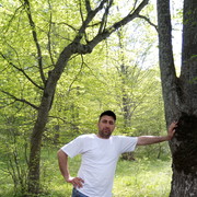  ,   , 46 ,   