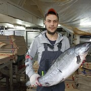 ���������� �����������, ���� ������� ����������, 35 ���, ������������ ��� ������, ����� � ���������, c�������� ���������