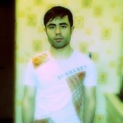  ,   Doni, 37 ,   ,   , c 