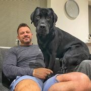 ���������� ������, ���� ������� �������, 39 ���, ������������ ��� ������, ����� � ���������, c�������� ���������, ���������