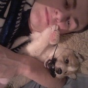 ���������� �����, ���� ������� ����, 28 ���, ������������ ��� ������, ����� � ���������, c�������� ���������