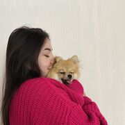   ,   , 27 ,   