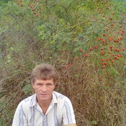  ,   Ը, 61 ,   ,   , c 