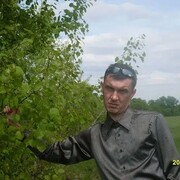 ���������� ��������, ���� ������� ���, 47 ���, ������������ ��� ���������