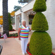  ,   , 67 ,     
