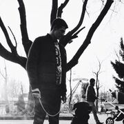 ���������� �����-���������, ���� ������� ����, 30 ���, ������������ ��� ������, ����� � ���������