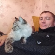  ,   , 41 ,     , c 