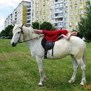 ���������� ������, ���� ������� ����, 38 ���, ������������ 