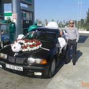 ���������� ����, ���� ������� ������, 49 ���, ������������ ��� ������