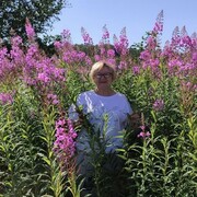 ���������� �������, ���� ������� ���������, 64 ����, ������������ ��� ������, ����� � ���������, c�������� ���������, ���������