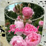 ���������� ������, ���� ������� ������, 47 ���, ������������ ��� ������, ����� � ���������