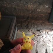 ���������� ��������, ������ �������, 23