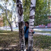 ,   , 41 ,   c 