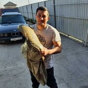 ���������� ������, ���� ������� ���, 40 ���, ������������ ��� ������, ����� � ���������