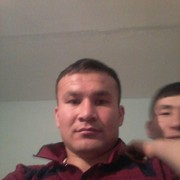  -,   , 33 ,  