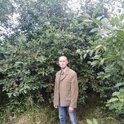  ,   , 49 ,   ,   