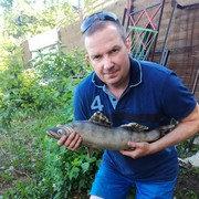 ���������� ������� ����, ���� ������� �������, 50 ���, ������������ ��� ������, ����� � ���������, c�������� ���������