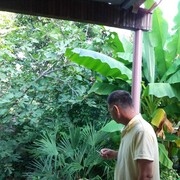  ,   , 55 ,   ,   , c 