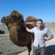 ���������� ����������, ���� ������� ������, 37 ���, ������������ 