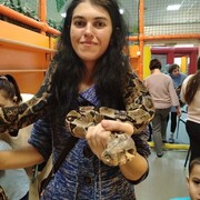  ,   , 34 ,   