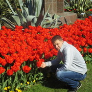 ���������� ���������, ���� ������� ����, 31 ���, ������������ 