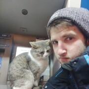 ���������� �����������, ���� ������� �������, 29 ���, ������������ ��� ������, ����� � ���������, c�������� ���������