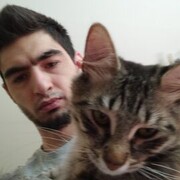  ,   , 31 ,   ,   , c , 