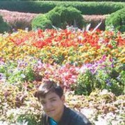  ,   , 32 ,   