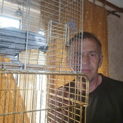  ,   , 64 ,   