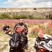 ���������� �����������, ���� ������� ��������, 36 ���, ������������ ��� ������, ����� � ���������, c�������� ���������, ���������