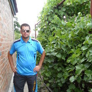  --,   , 38 ,   ,   , c 