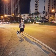 ���������� �������, ���� ������� OYBEK, 33 ����, ������������ ��� ������, ����� � ���������, c�������� ���������