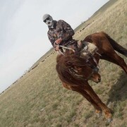 ���������� ������, ���� ������� �����, 41 ���, ������������ ��� ������, ����� � ���������