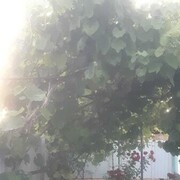  ,  , 59