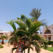  ,    , 52 ,   ,   , c 