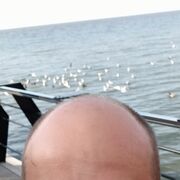  ,   , 48 ,   c 