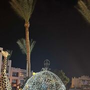  ,   , 62 ,  