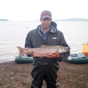  ,   GAVRIL, 34 ,     , c 
