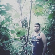 ���������� �������, ���� ������� ��������, 38 ���, ������������ ��� ������, ����� � ���������, c�������� ���������