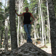 ���������� ������-��-����, ���� ������� ������, 41 ���, ������������ ��� ������, ����� � ���������, c�������� ���������