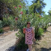 ���������� ������������, ���� ������� Dania, 58 ���, ������������ ��� ������, ����� � ���������