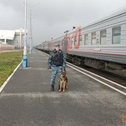 ���������� ������������, ���� ������� �����, 39 ���, ������������ ��� ������, ����� � ���������, c�������� ���������